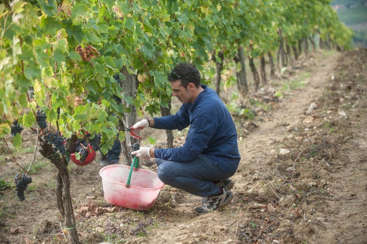 La Valletta Boutique Wine Estate Panzano in Chianti Екстериор снимка